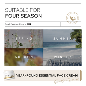 LAIKOU Caracol Essência Creme Facial Anti Rugas Envelhecimento Hidratante Reparador 25g